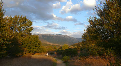 Andrew Molera State Park