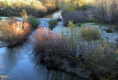 River at Molera