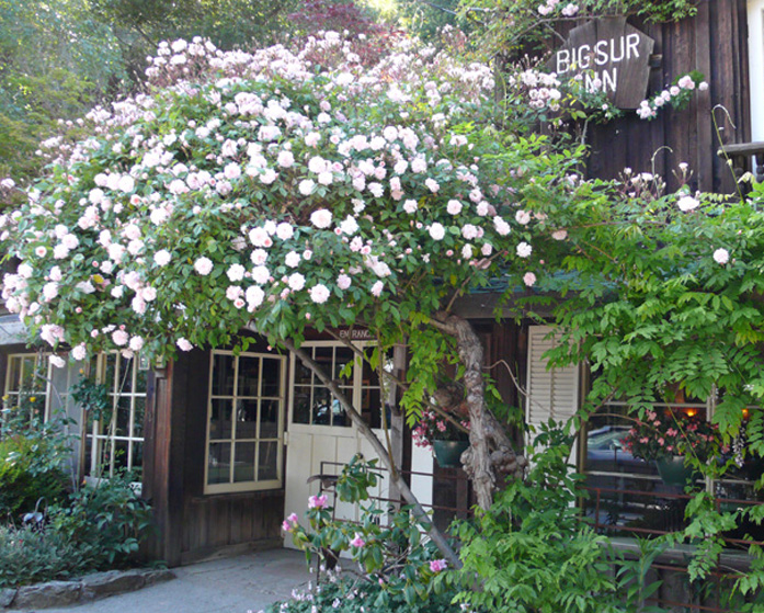 View from outside the restaurant at Deetjens Big Sur Inn